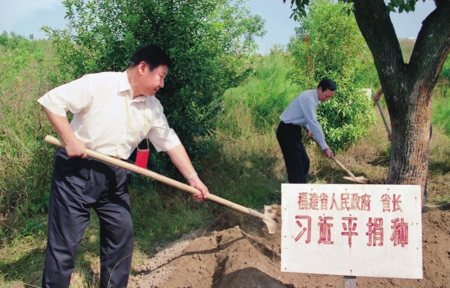 2001年10月，習近平在龍巖市長汀縣調研水土流失治理工作，在河田世紀生態(tài)園為樹培土。圖源：《習近平在福建（下）》